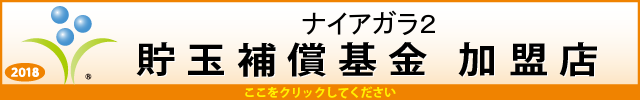 ナイアガラ2の最新情報画像