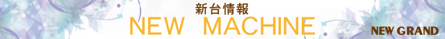 ニューグランドの最新情報画像