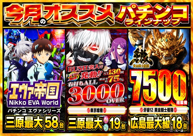 Nikko1000+LMの最新情報画像