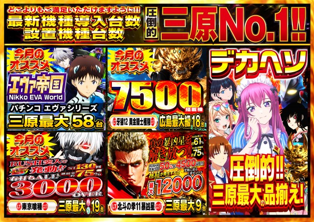 Nikko1000+LMの最新情報画像