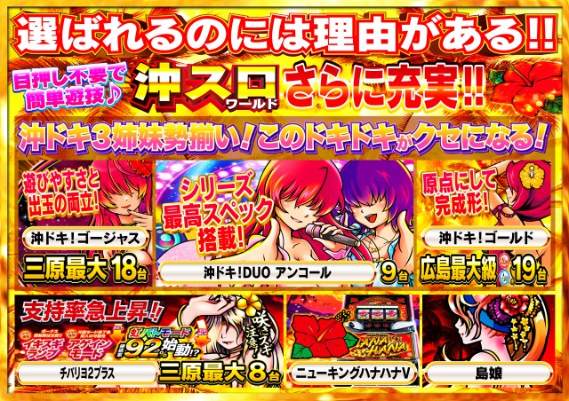 Nikko1000+LMの最新情報画像