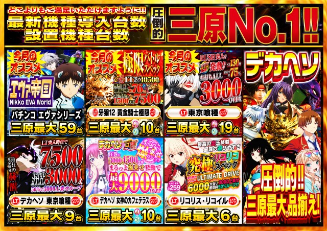 Nikko1000+LMの最新情報画像