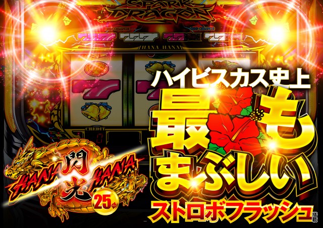 アンコールⅡの最新情報画像