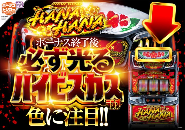 アンコールⅡの最新情報画像