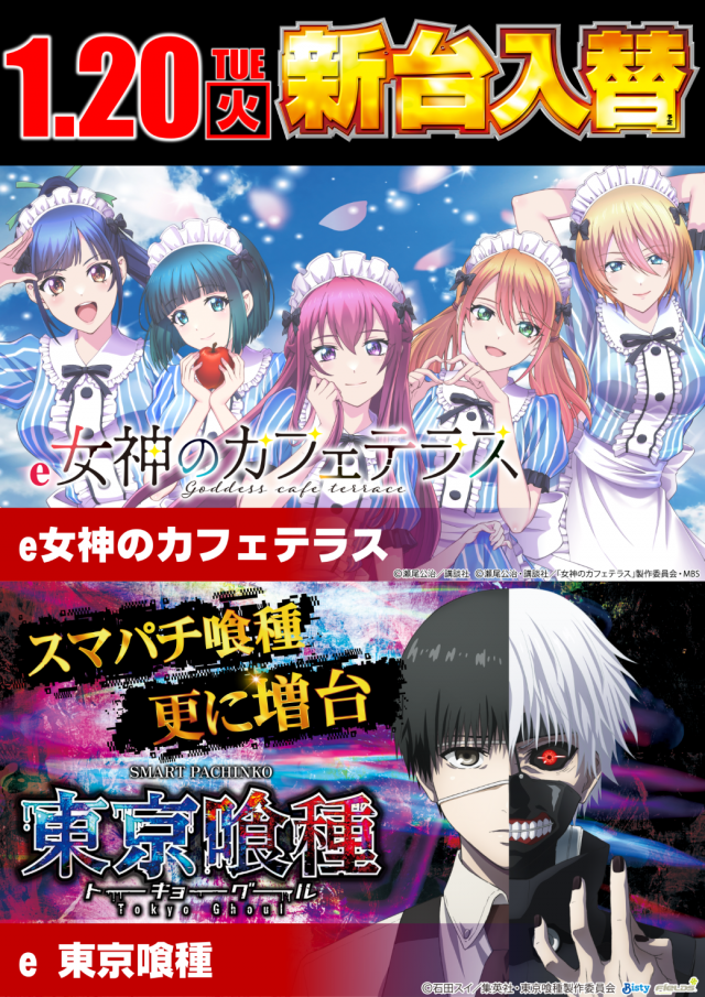 メガガイア大野店の最新情報画像