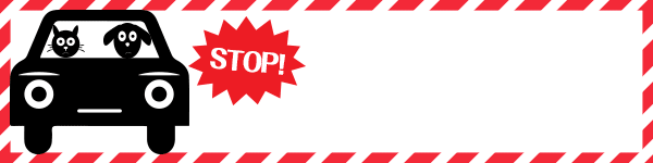 センチュリー呉中通の最新情報画像