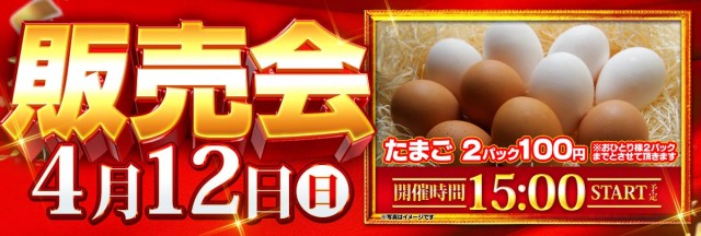 キングパレスの最新情報画像