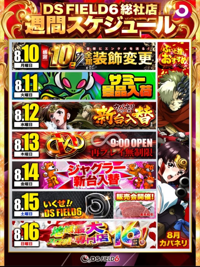ＤＳ　ＦＩＥＬＤ６総社店の最新情報画像