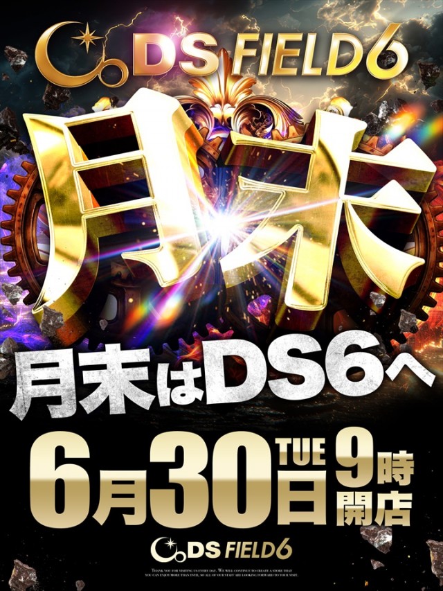 ＤＳ　ＦＩＥＬＤ６総社店の最新情報画像