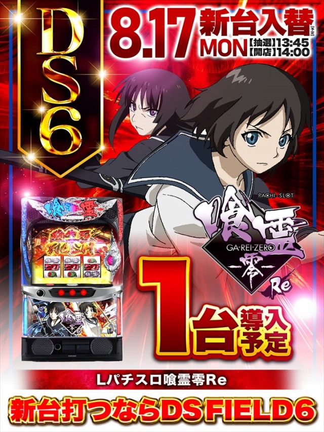 ＤＳ　ＦＩＥＬＤ６総社店の最新情報画像