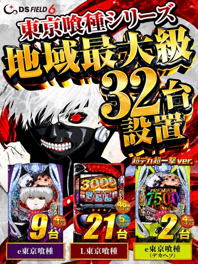 ＤＳ　ＦＩＥＬＤ６総社店の最新情報画像