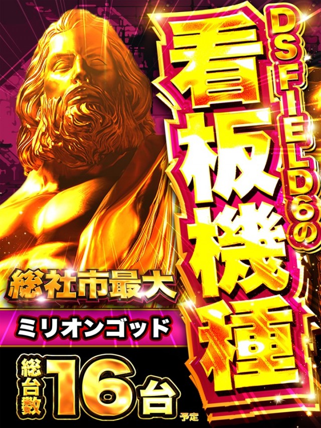 ＤＳ　ＦＩＥＬＤ６総社店の最新情報画像