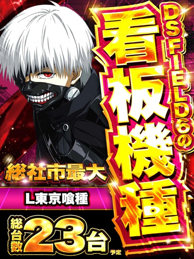 ＤＳ　ＦＩＥＬＤ６総社店の最新情報画像