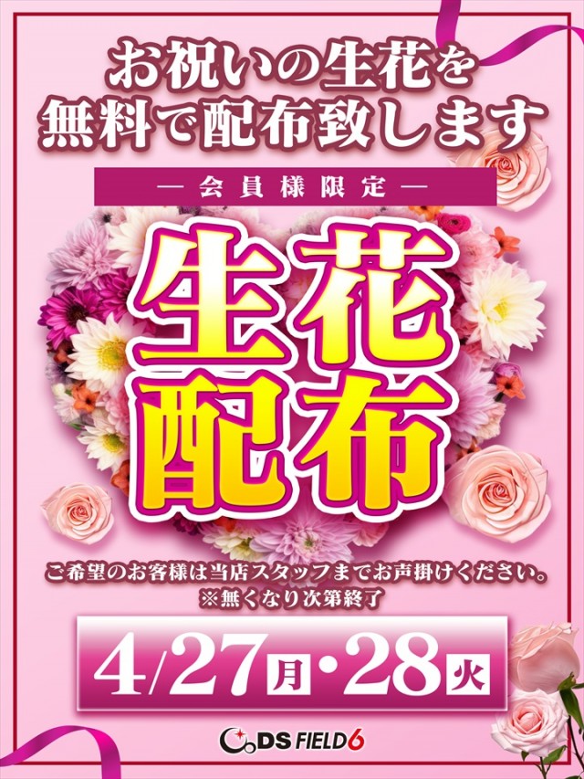 ＤＳ　ＦＩＥＬＤ６総社店の最新情報画像