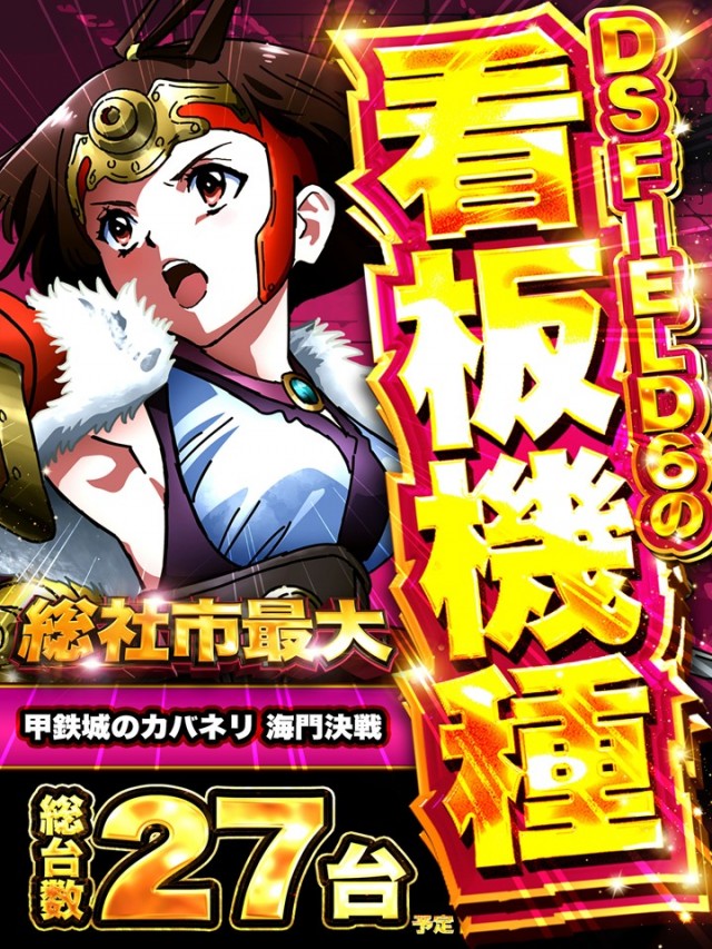 ＤＳ　ＦＩＥＬＤ６総社店の最新情報画像