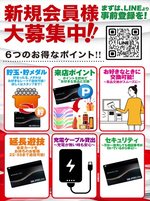 ＤＳ　ＦＩＥＬＤ６総社店の最新情報画像