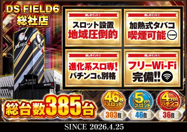 ＤＳ　ＦＩＥＬＤ６総社店の最新情報画像