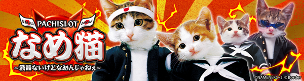 ジャンボ川棚店の最新情報画像