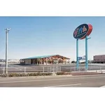 ダイナム野市店