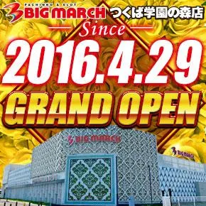 ビックマーチつくば学園の森店の外観画像