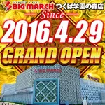 ビックマーチつくば学園の森店（つくば市 研究学園駅）