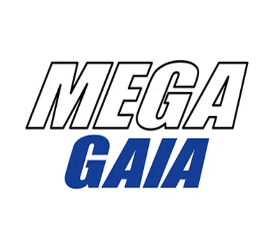 メガガイア越谷大里の店舗画像