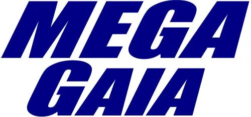 メガガイア越谷大里の店舗画像