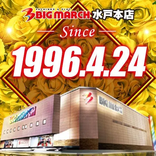 ビックマーチ水戸本店の外観画像