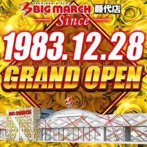 ビックマーチ藤代店の外観画像