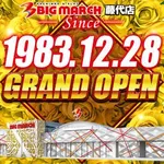 ビックマーチ藤代店（取手市 取手駅）