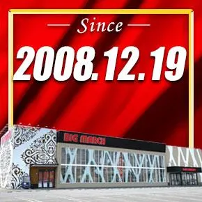 ビックマーチ勝田店の外観画像