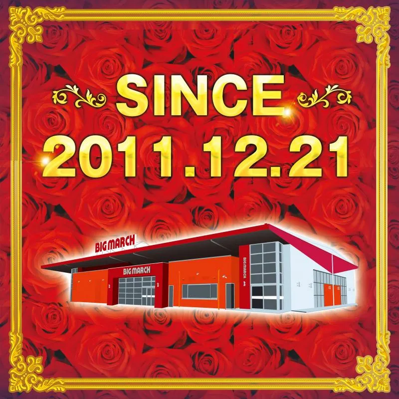 ビックマーチ佐野店の外観画像