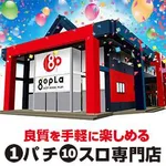 ゴープラ飯能店（飯能市 元加治駅）