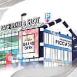 ピカデリー（横浜市保土ヶ谷区 星川（神奈川県）駅）