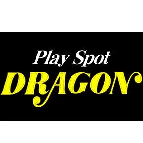 プレイスポットドラゴン小田急相模原店の店舗画像