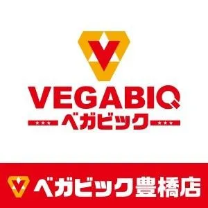 ベガビック豊橋店の店舗画像