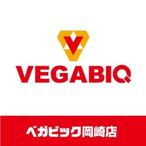 ベガビック岡崎店の店舗画像