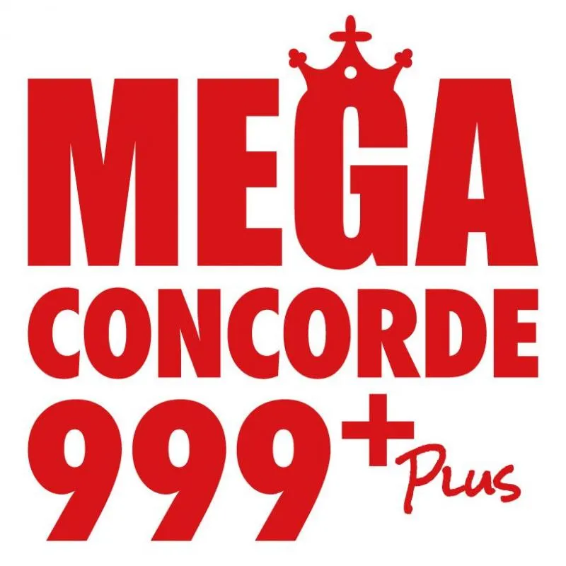 メガコンコルド999+Plus岡崎北店の店舗画像
