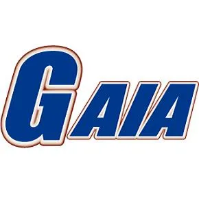 ガイア大泉学園店の店舗画像