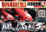 MEGAコンコルド1020豊田インター店（豊田市 土橋（愛知県）駅）