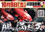 MEGAコンコルド1020豊田インター店（豊田市 土橋（愛知県）駅）