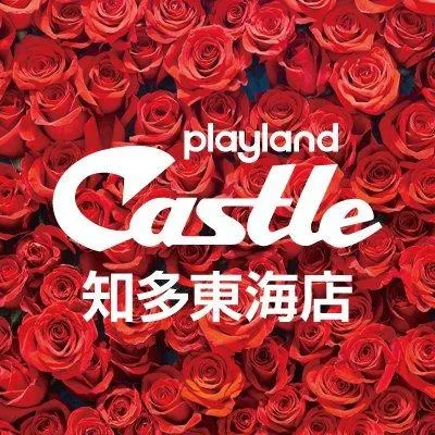 プレイランドキャッスル知多東海店の店舗画像