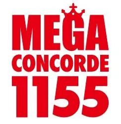 メガコンコルド1155日進長久手店の店舗画像