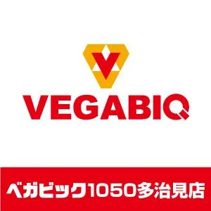 ベガビック1050多治見店の店舗画像