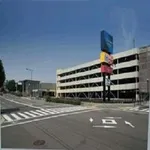 ハリウッド･ハリーズ高殿