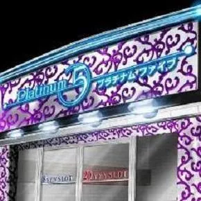 Ｐｌａｔｉｎｕｍ５の外観画像