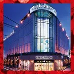 マジックバード3