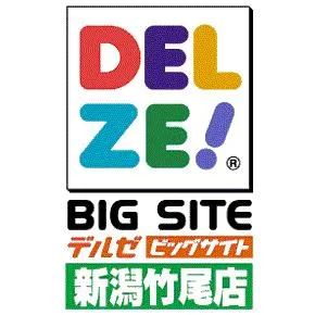 デルゼビッグサイト新潟竹尾店の店舗画像