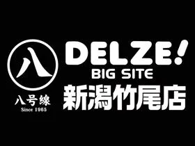 デルゼビッグサイト新潟竹尾店の店舗画像