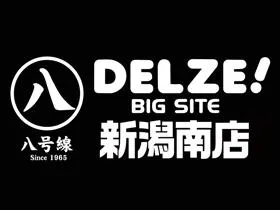 デルゼビッグサイト新潟南店の店舗画像